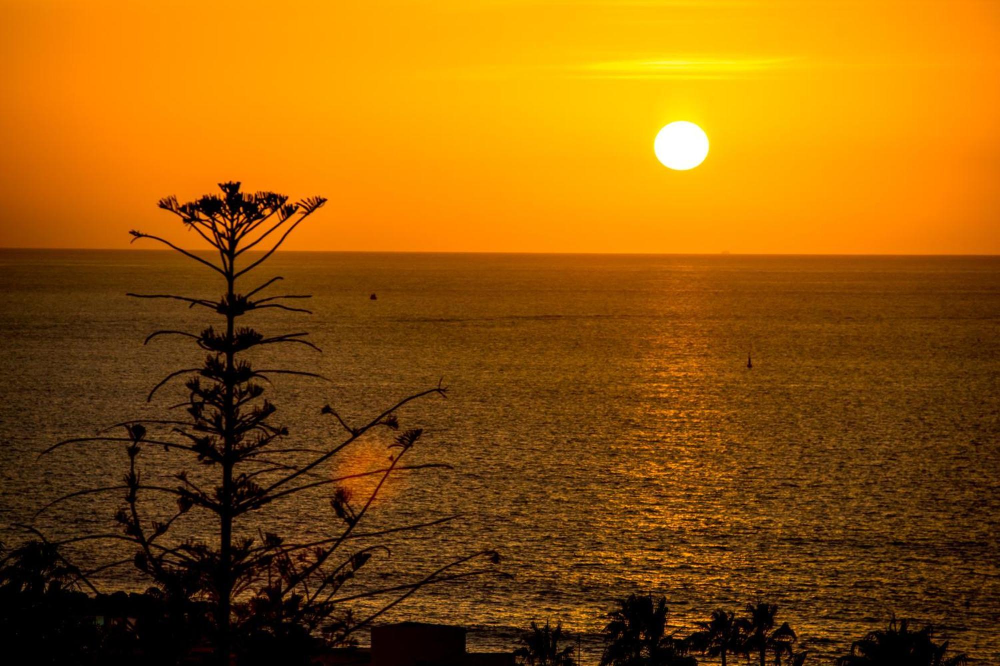 Apartamento Ponderosa 611, Americas, One Bedroom With Large Terrace And Ocean View, Next To Siam Park