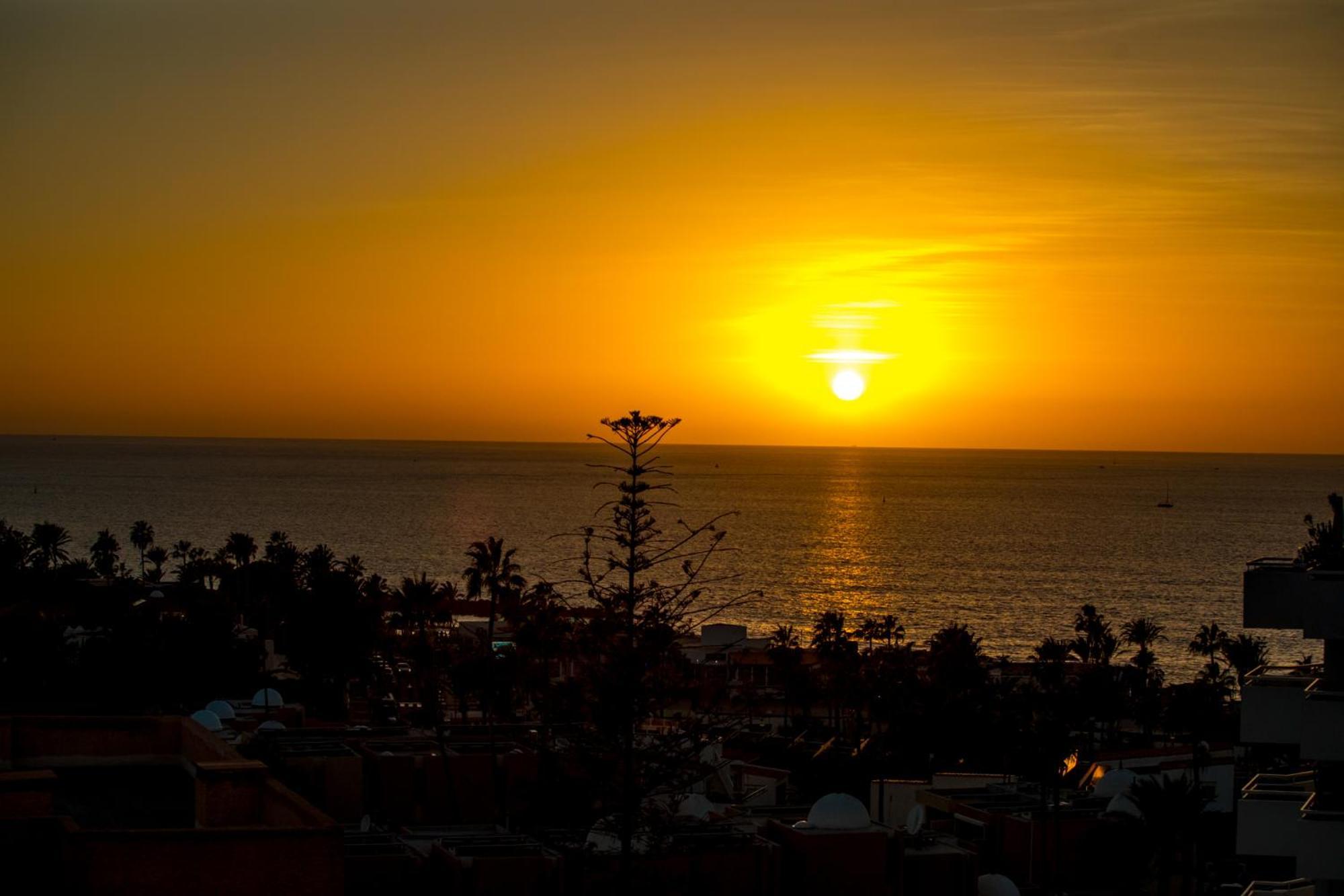 Ponderosa 611, Americas, One Bedroom With Large Terrace And Ocean View, Next To Siam Park * Playa Feñabe
